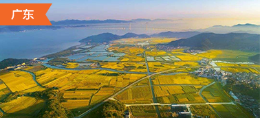 云南土地开发整理项目造价软件